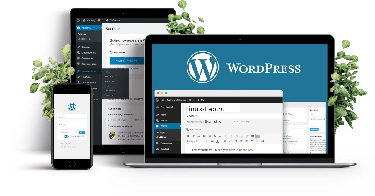 Настройка VPS для размещения сайта Wordpress с высокой посещаемостью, пошаговая инструкция